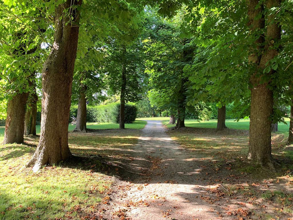 Bos in de herfst