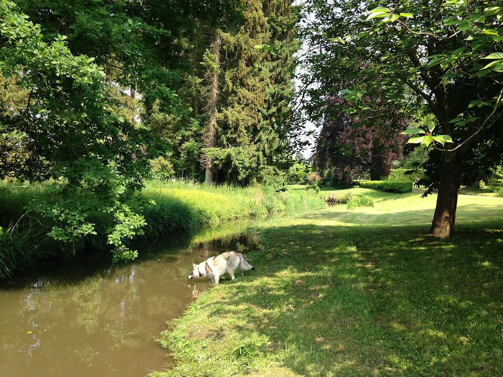 Rivier en park